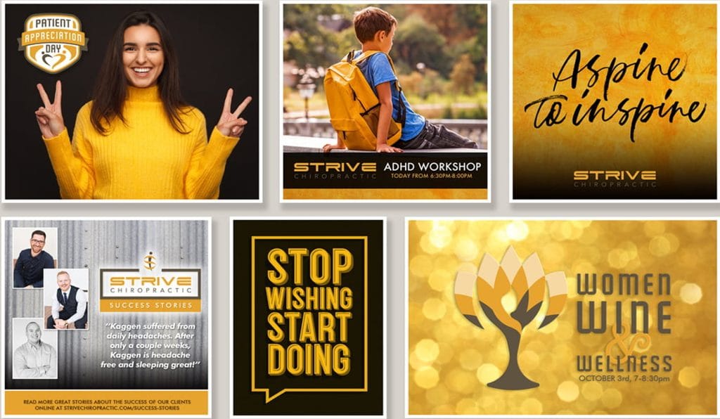 Strive Chiropractic brand collateral: patient appreciation, workshop and Women Wine & Wellness event graphics