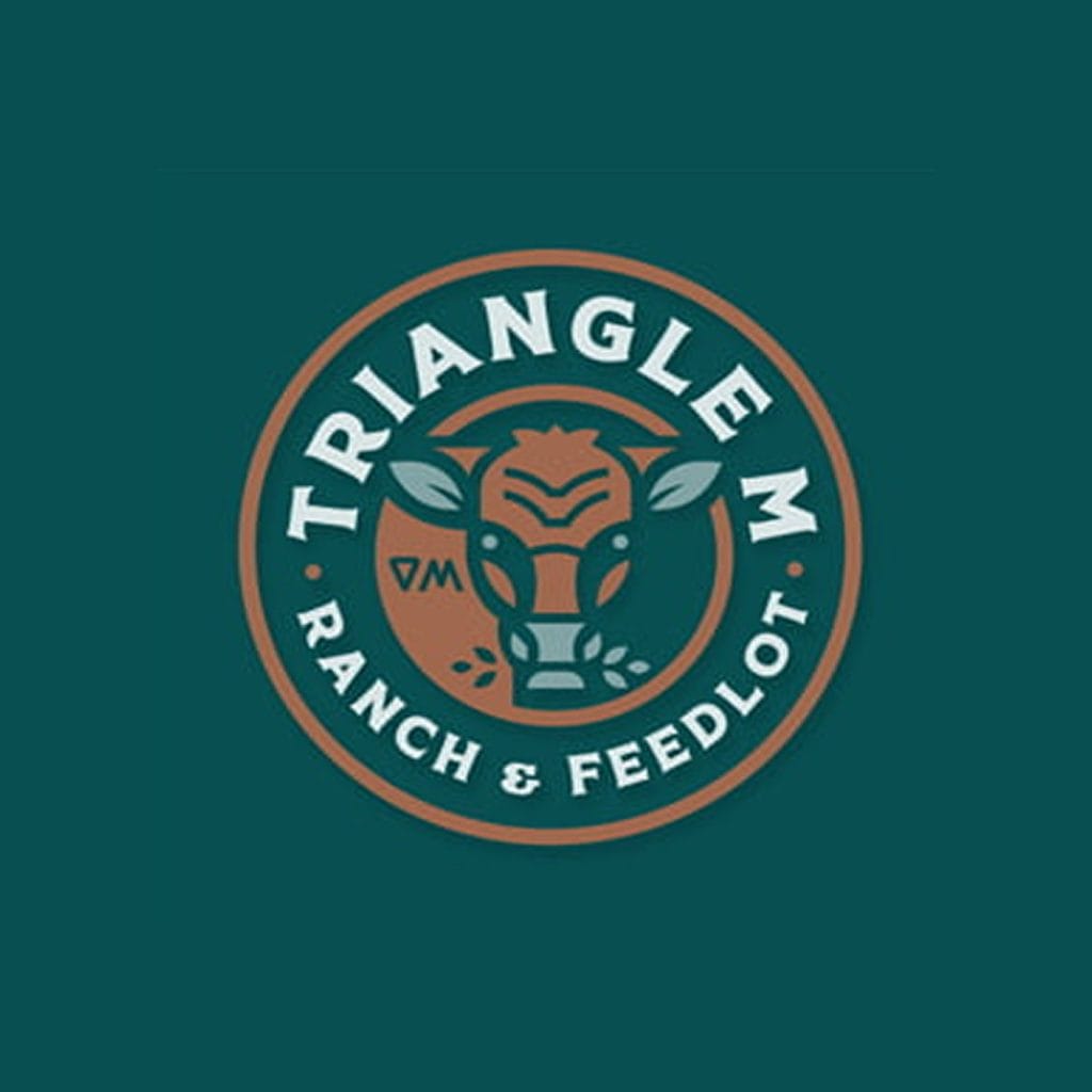 Triangle M Ranch & Feedlot circular logo with a cow's head