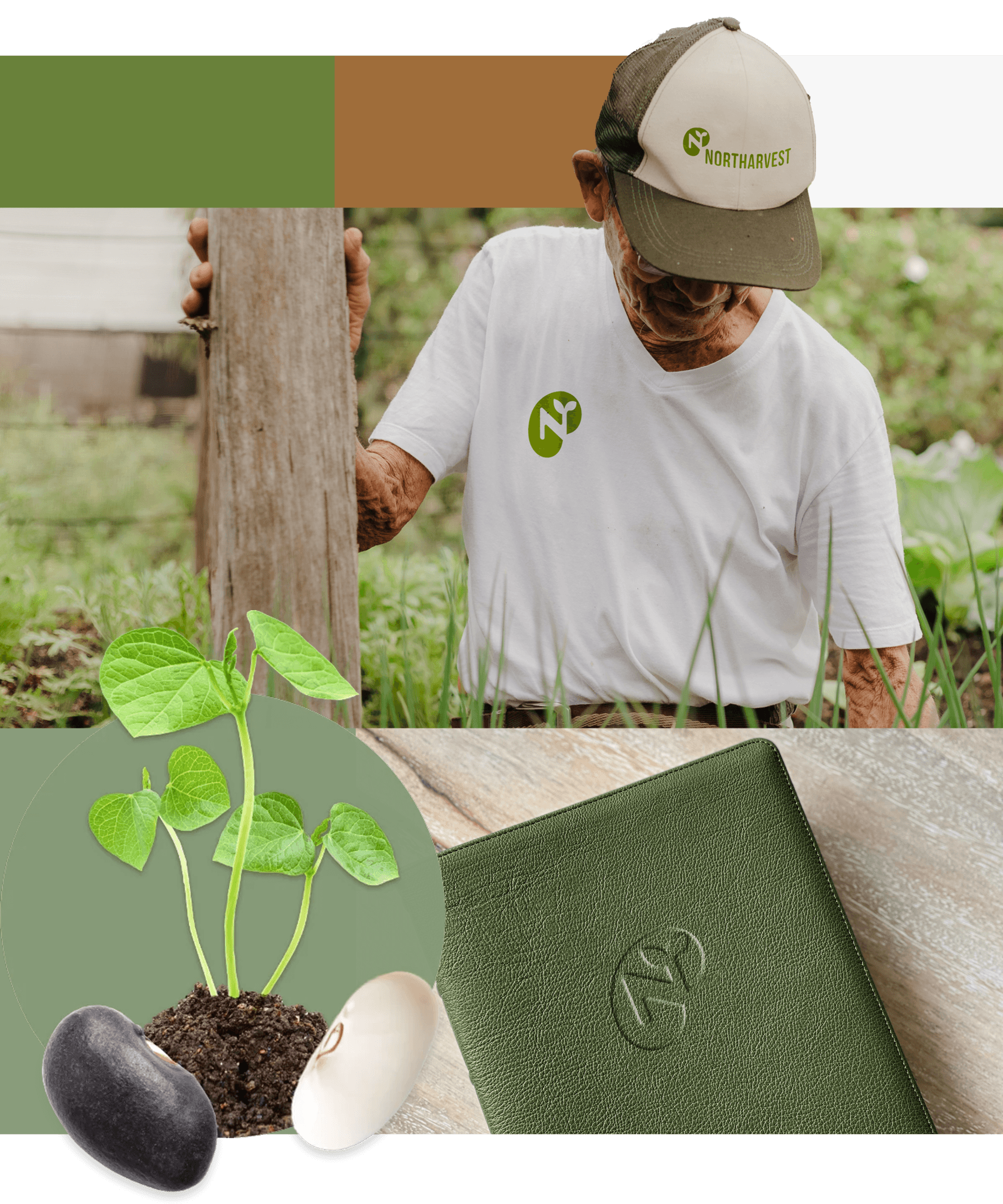 Northarvest brand applications: colour palette, a grower in a branded cap and tee, a bean sprout and an embossed folder